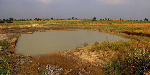 Mediciones Topográficas Parcelas agricolas