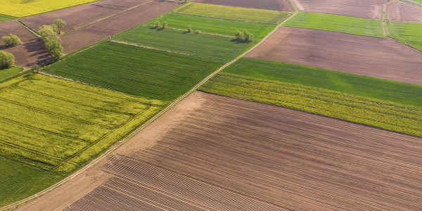 Amojonamientos de Terrenos agrícolas